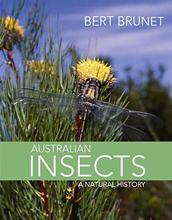 Australian Insects: A Natural History, by Bert Brunet